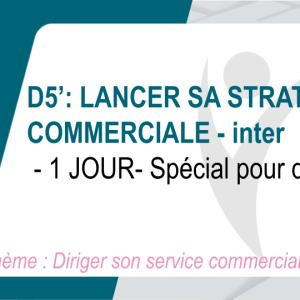 LANCER SA STRATEGIE COMMERCIALE